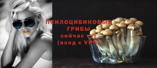 дурь Алексин