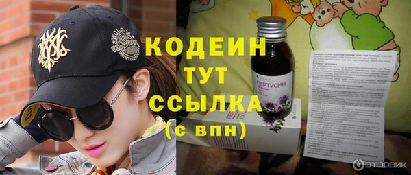 дурь Алексин