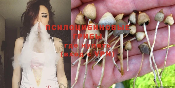 дурь Алексин