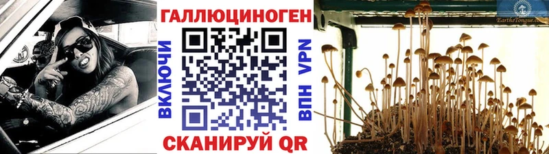 Псилоцибиновые грибы Magic Shrooms  Советский 