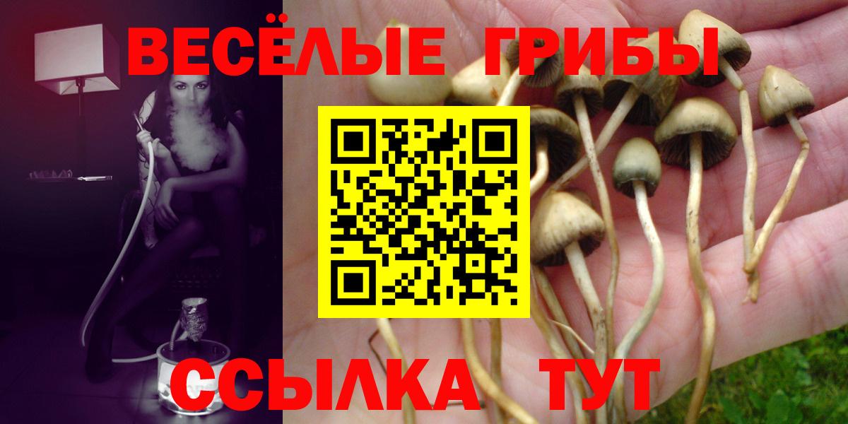 Советский  Галлюциногенные грибы GOLDEN TEACHER  Вход с VPN 